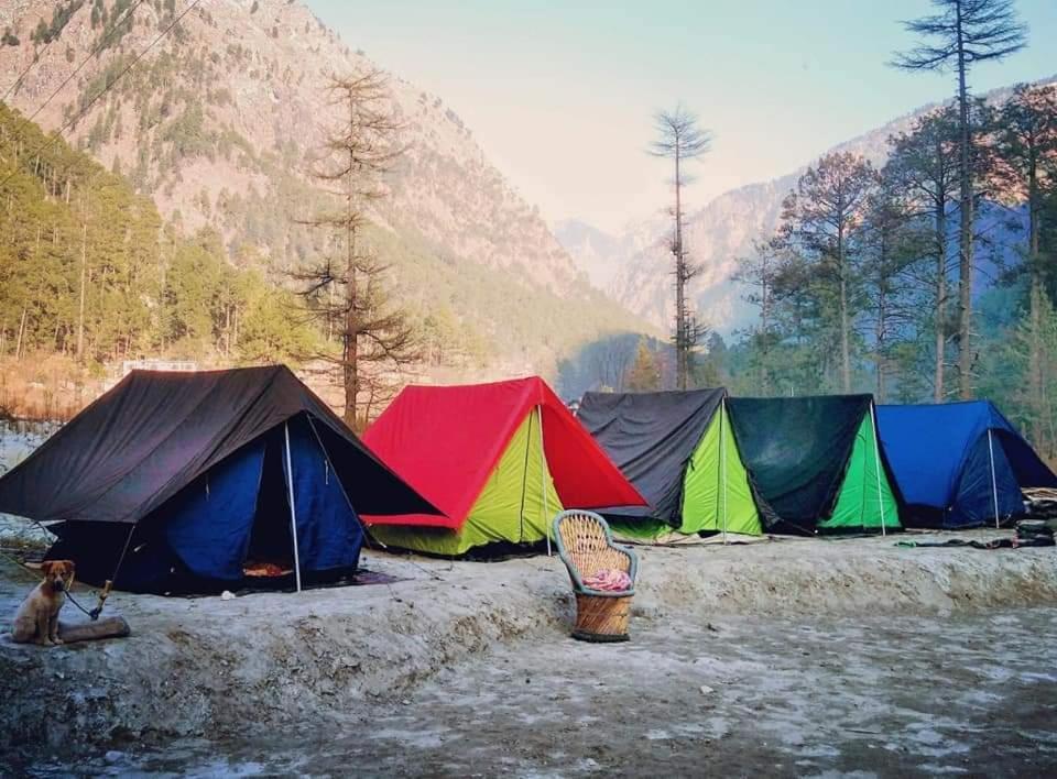 Stayhigh Camps & Cottages Kasol Zewnętrze zdjęcie