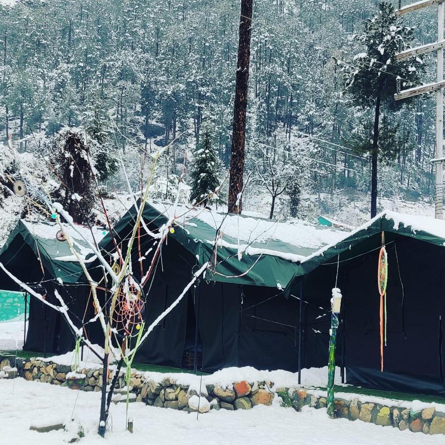 Stayhigh Camps & Cottages Kasol Zewnętrze zdjęcie